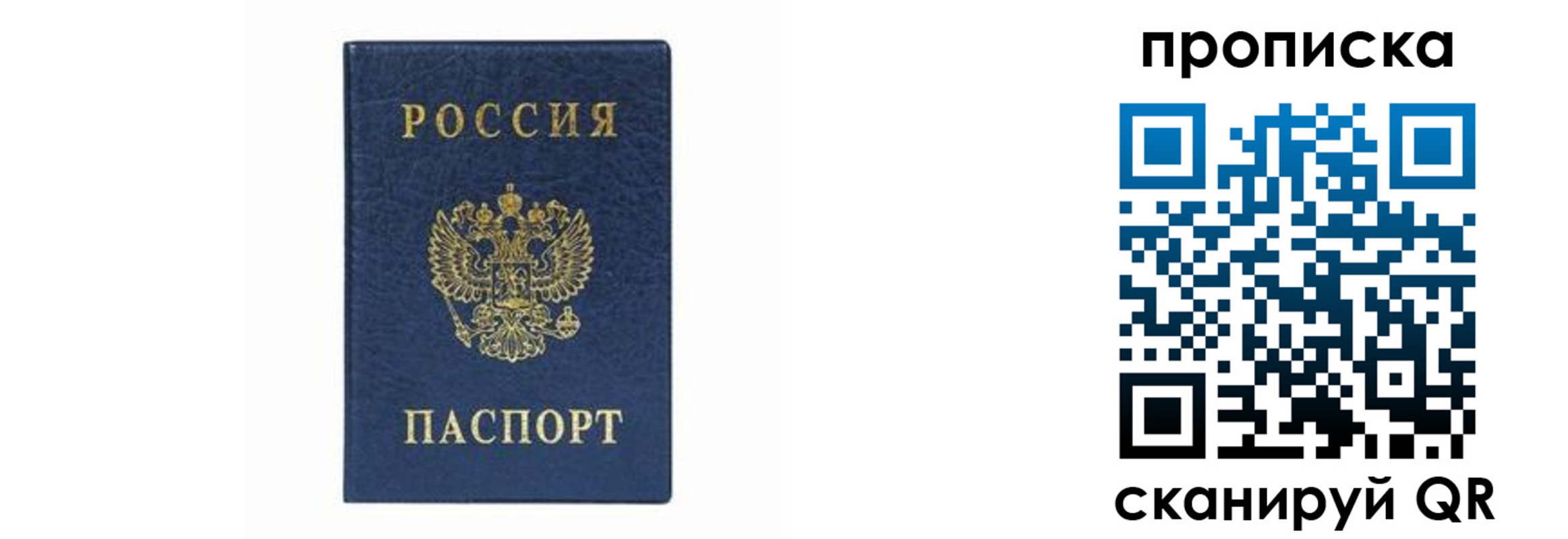 временная регистрация поиск в Чайковском